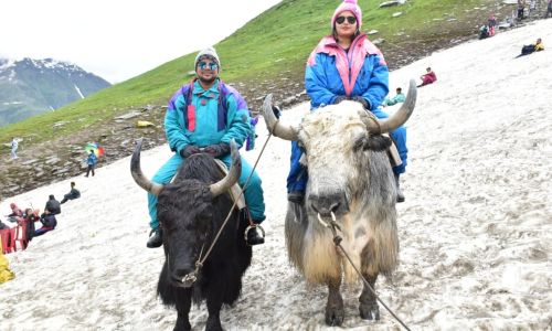 Delhi Kullu Manali Amritsar  Tour Package 7 Days Tour Package