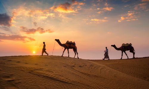 Jaipur  Udaipur Tour Package  Tour Package
