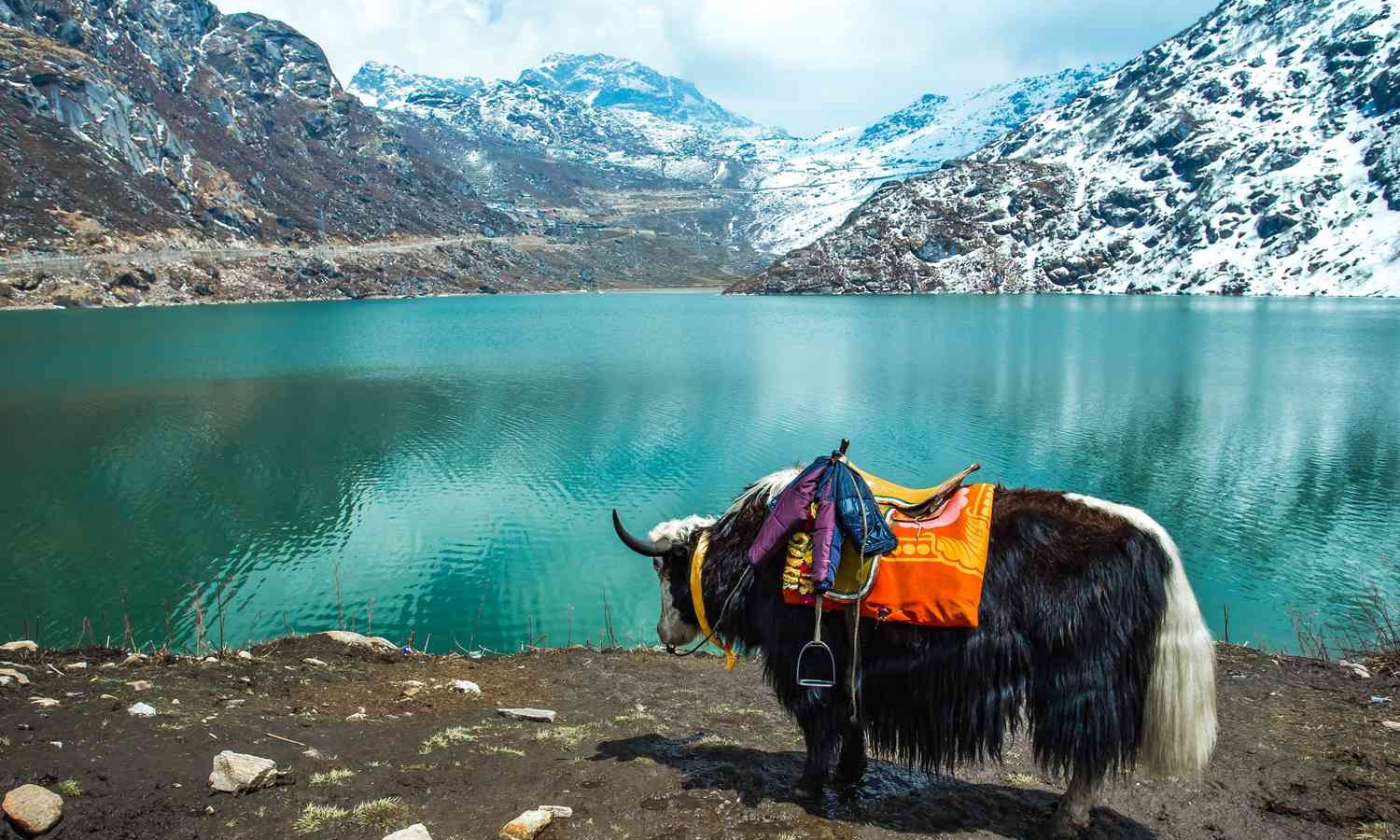 5night Gangtok- Darjeling Tour Tour Package