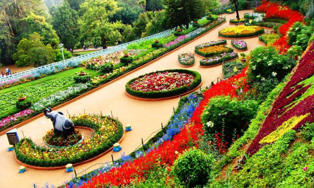 Ooty Coimbatore Tour Package  Tour Package