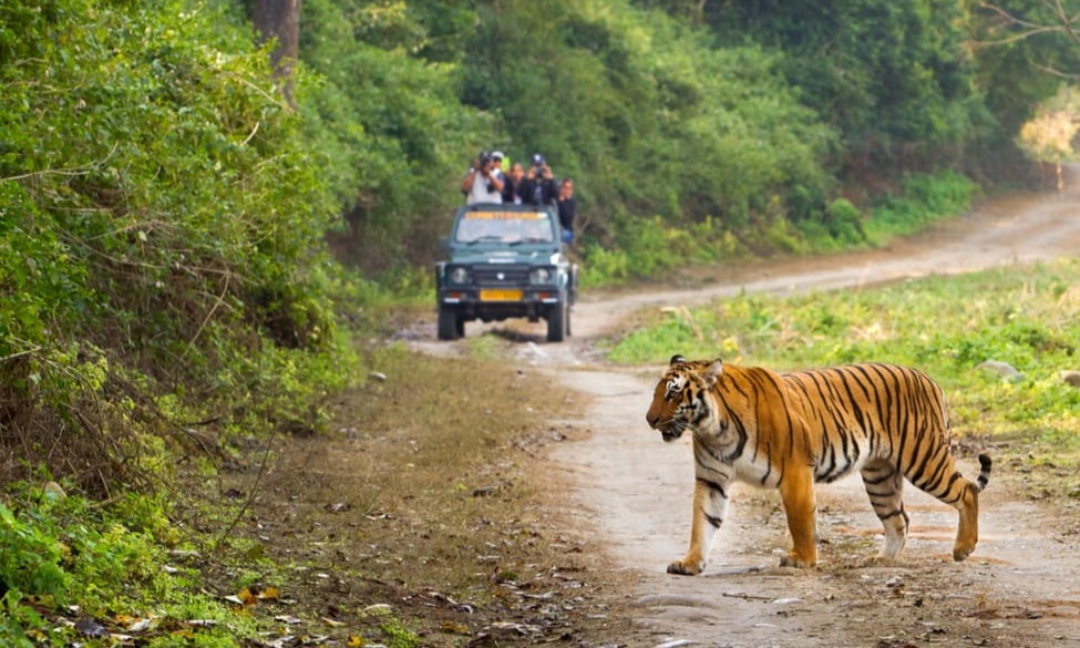 Jim Corbett Wilderness Tour Package Tour Package