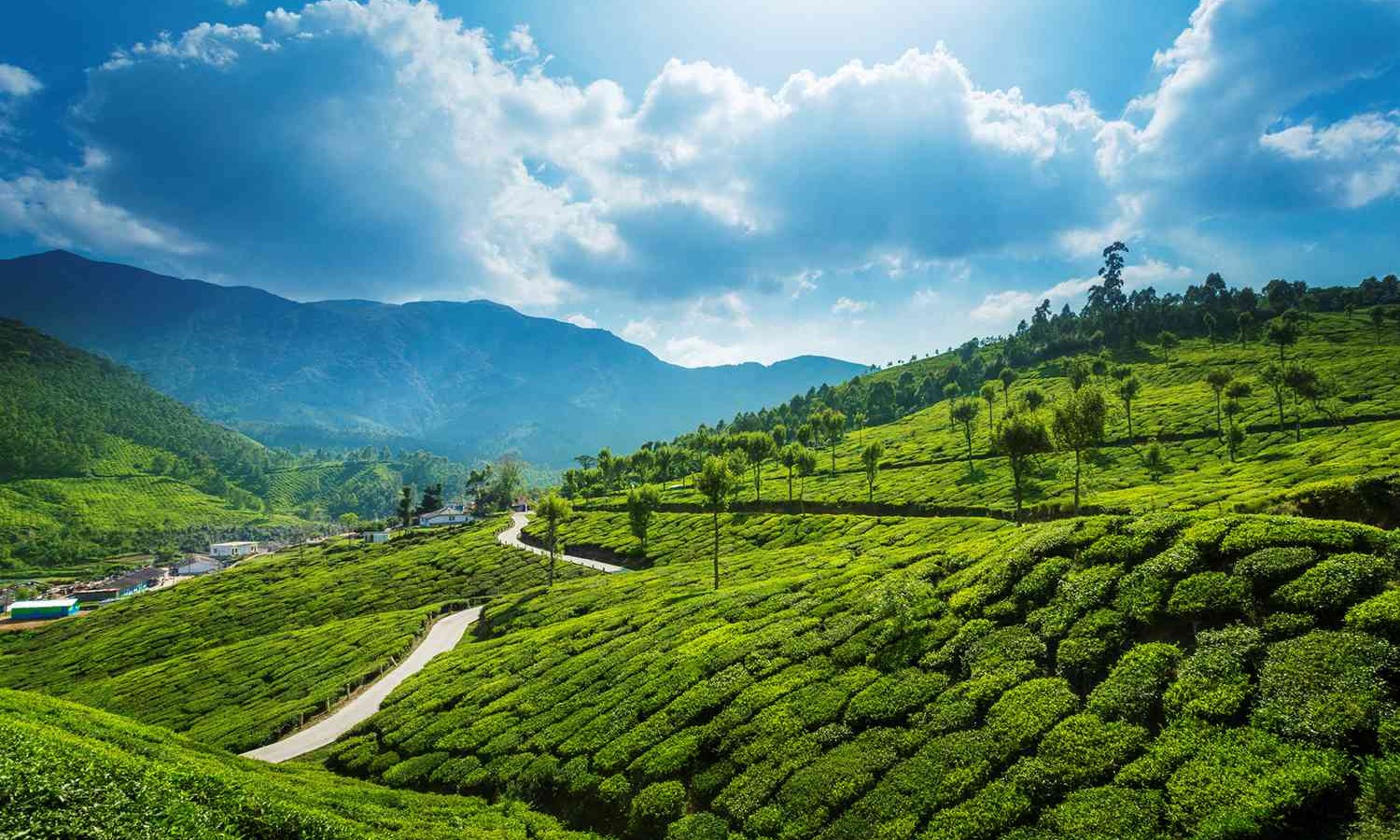 Kerala Tour Package Tour Package