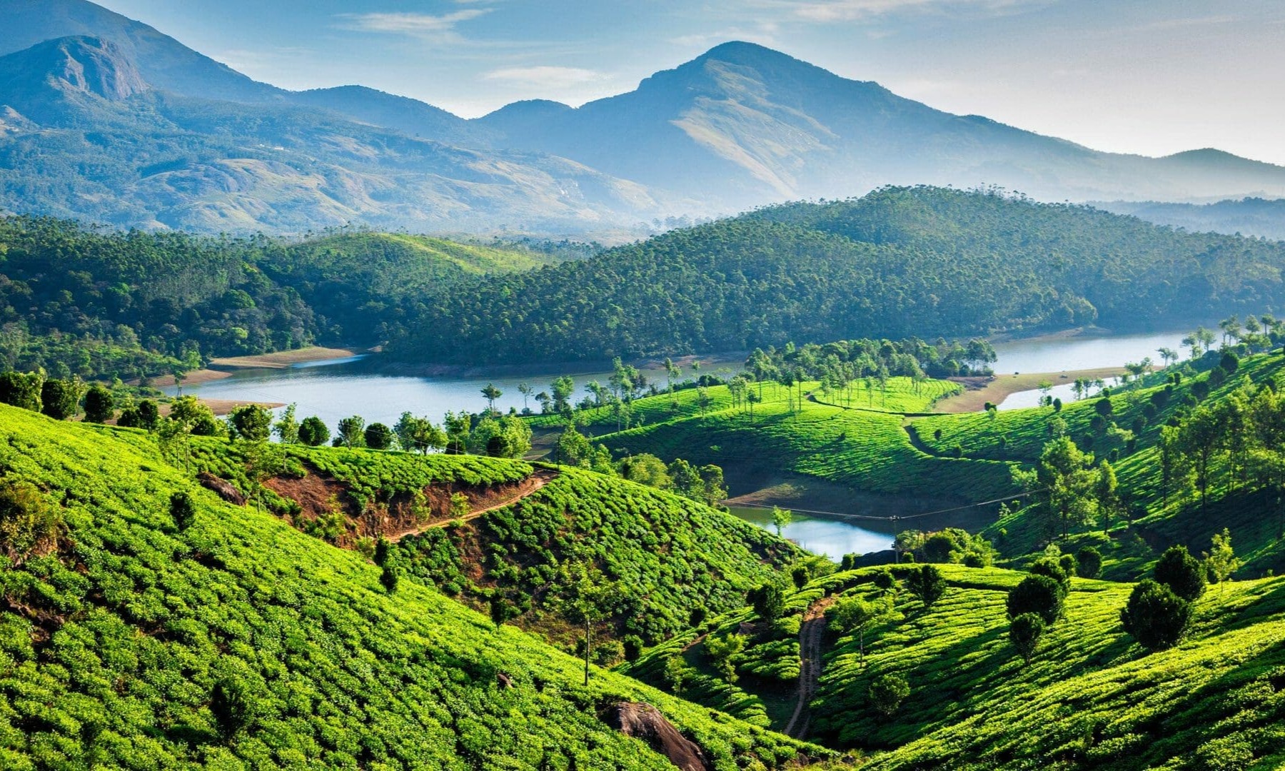 Cochin Munnar Alleppey Kovalam Tour Package Tour Package