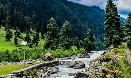 kashmir tour package Tour Package