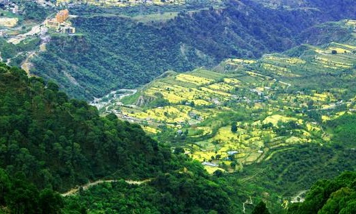 Chandigarh & katra tour package Tour Package