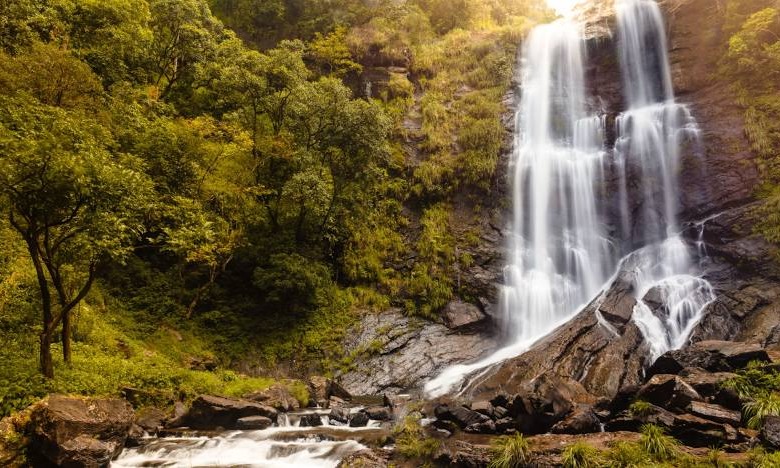 Chikmagalur and Coorg Tour Package Tour Package