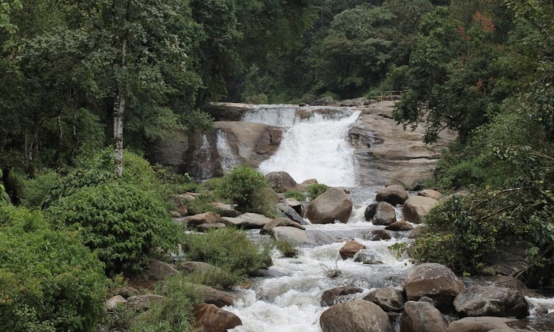 Pollachi And Valparai Tour Package Tour Package