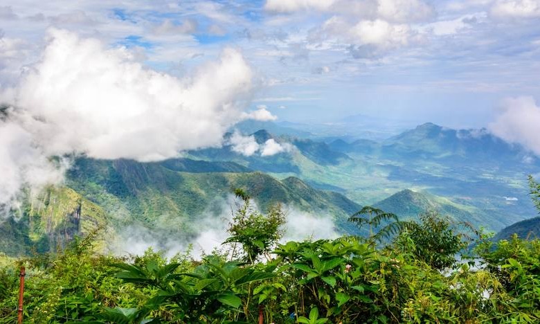 Coimbatore Ooty & Kodaikanal Package  Tour Package