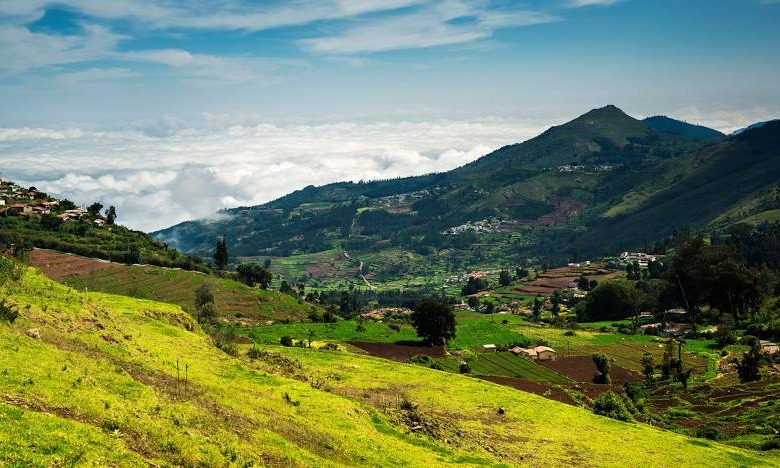Mysore Ooty Bangalore Tour Package