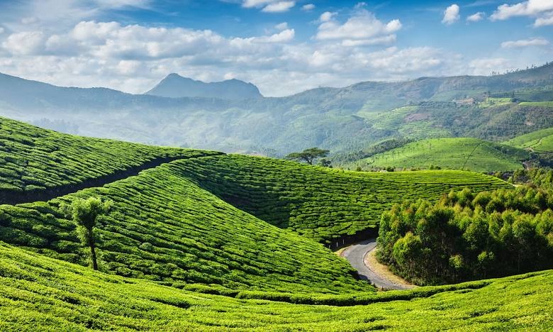 Best Kerala Tour Package Tour Package
