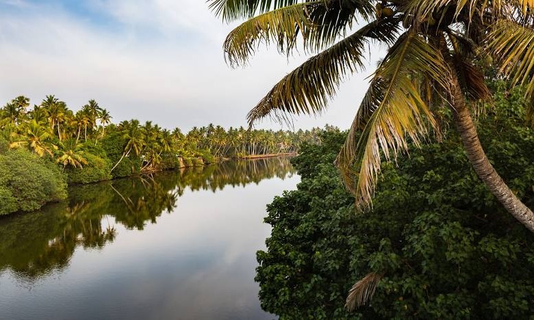 Munnar, Alleppey & Cochin Explorer Tour Package