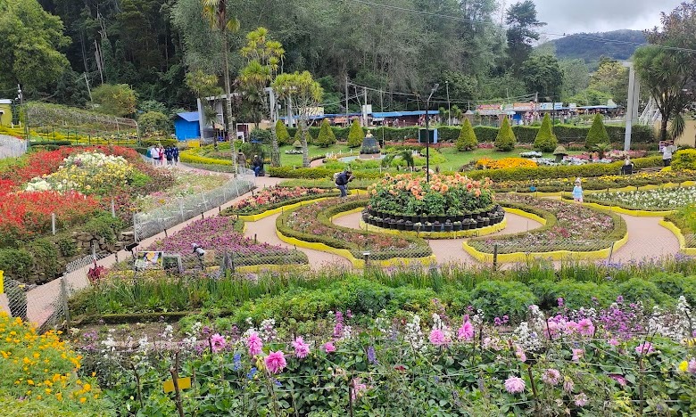 Banglore Mysore Coorg  Wayanad OOTY kodaikanal Tour Package
