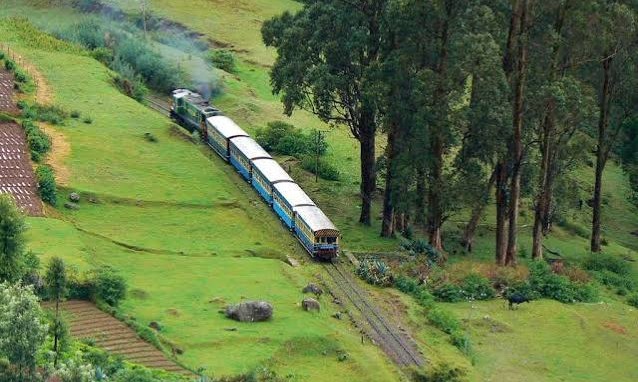 Mysore Wayanad Coorg & Ooty Tour Package Tour Package