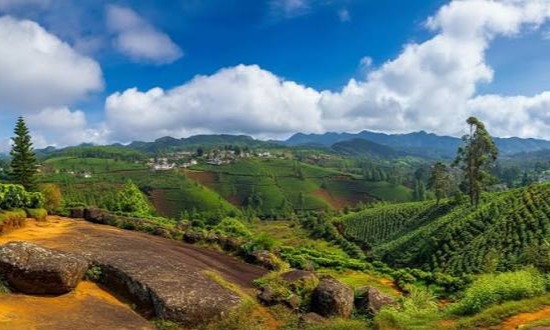 Coorg & Wayanad Tour Package  Tour Package