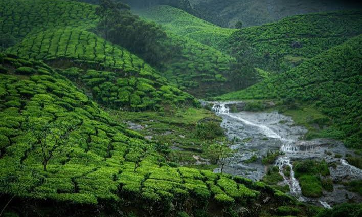 Nature & Backwaters – Munnar + Alleppey Tour Package