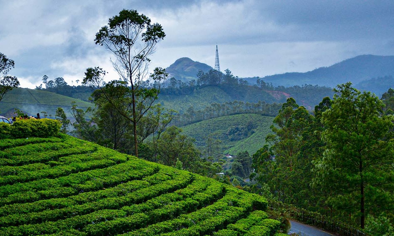 Munnar & Thekkady Nature Escape Tour Package Tour Package