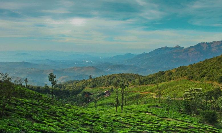 Munnar Varkala Kovalam Tour Package   Tour Package