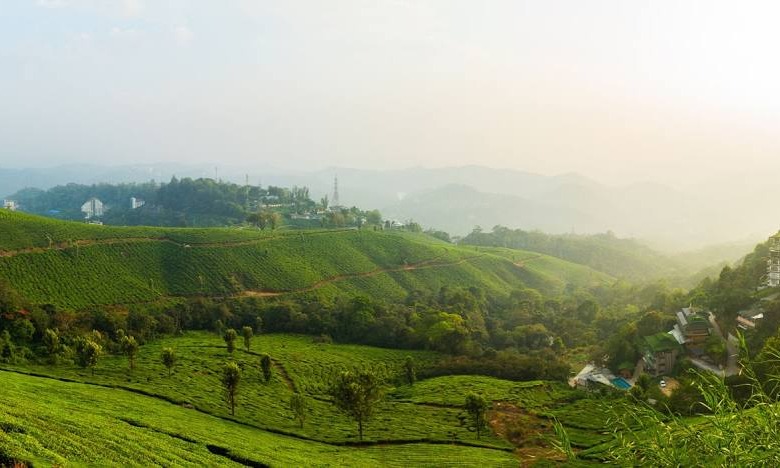 Complete Karnataka, Kerala & Tamil Nadu Explorer Tour Package
