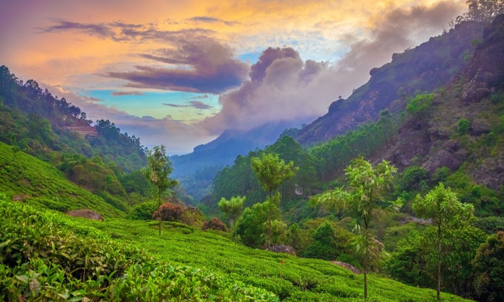 Munnar Thekkady Alleppey Kovalam & Kanyakumari Tour Package  Tour Package