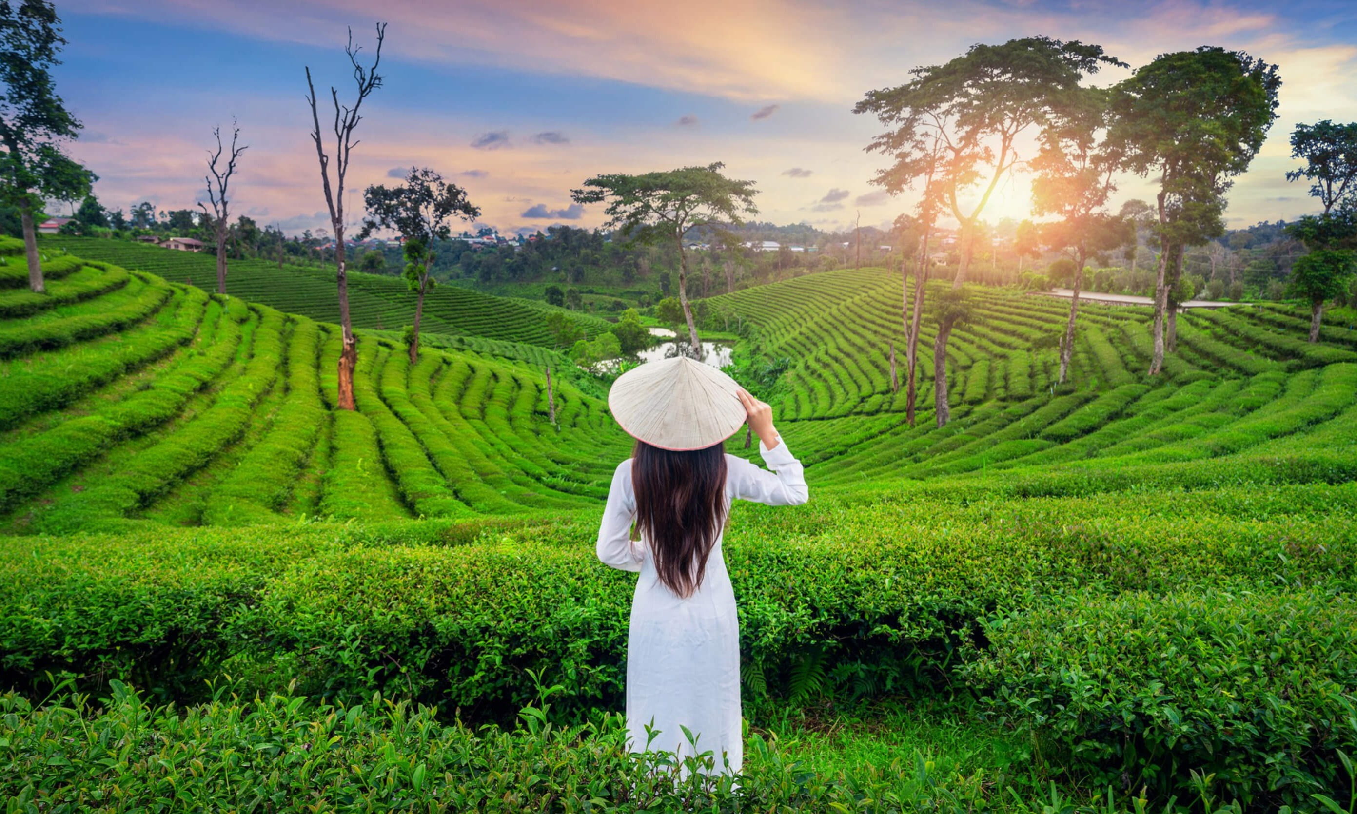 Best of South Kerala Tour Package Tour Package