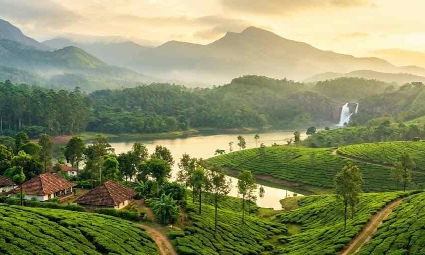 Cochin Munnar Thekkady & Varkala Tour Package  Tour Package