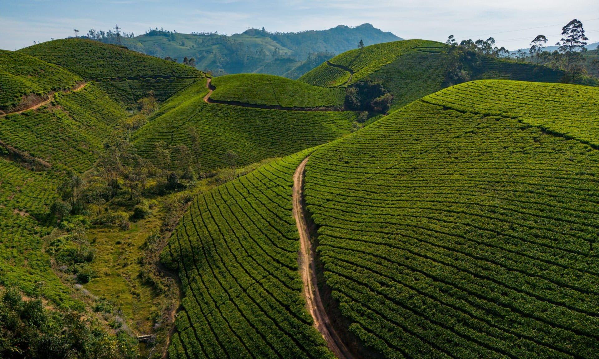 Magical Kerala Holiday Package Tour Package