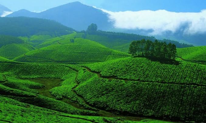 Kerala Hills & Beach Holiday Tour Package Tour Package