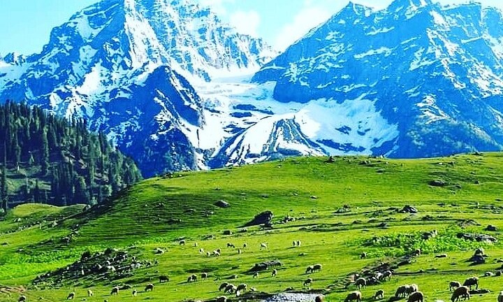 Kashmir Paradise Escape Tour Package
