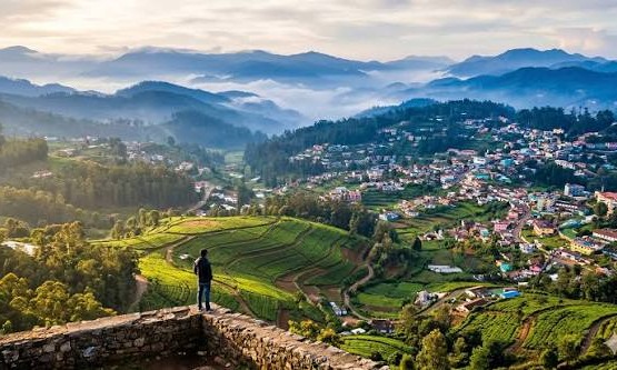 ROMANTIC OOTY DELIGHTS PACKAGE  Tour Package
