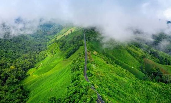 Bangalore – Mysore – Coorg – Ooty Delight Tour Package