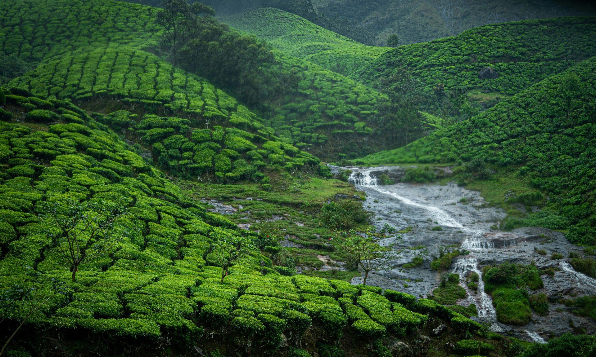 Magical Kerala Holiday Package Tour Package