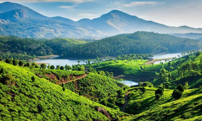 Kerala Essence – Hills Wildlife & Backwaters Package  Tour Package