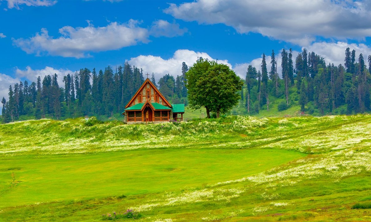 Rediscover Kashmir  Tour Package