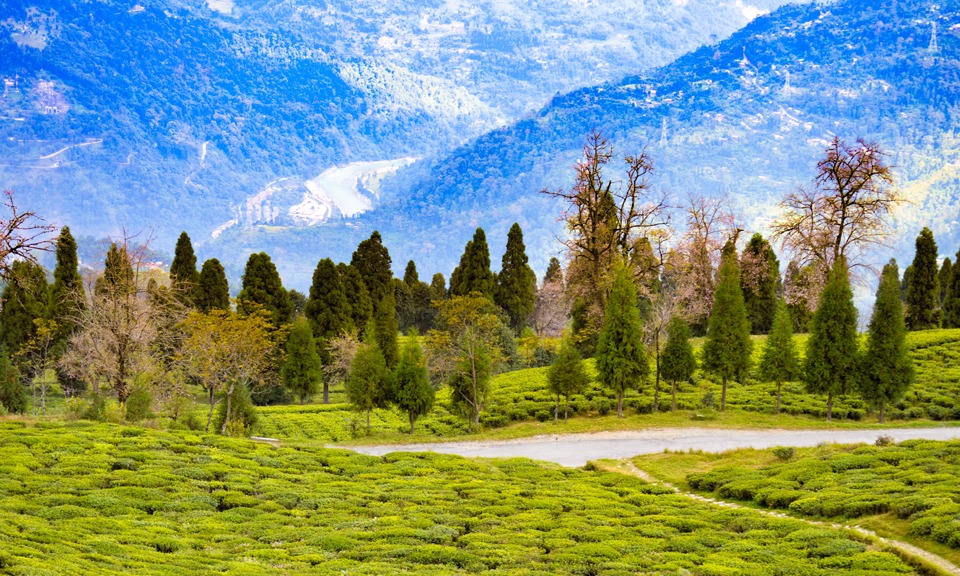 Mysore Coorg Wayanad Tour Package  Tour Package