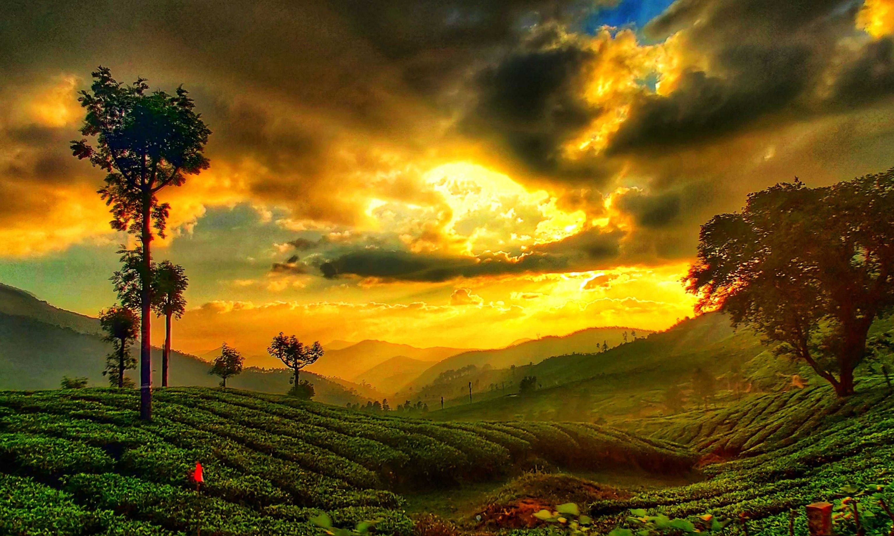 Goa Kerala Tour Package Tour Package