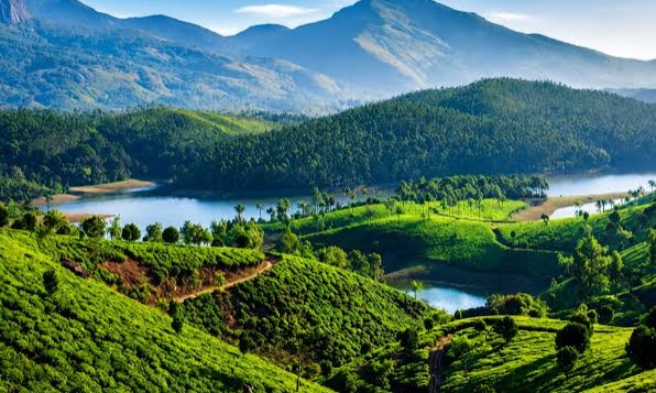 Cochin Munnar Thekkady  Vagamon Alleppey Cochin Tour Package Tour Package