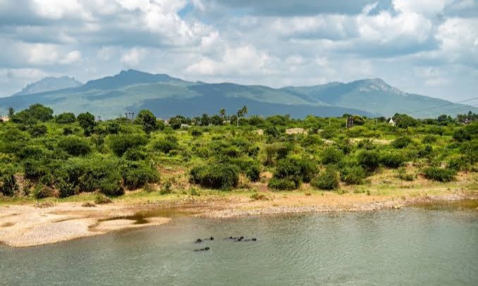 Gir Forest & Nearby Places Tour Tour Package