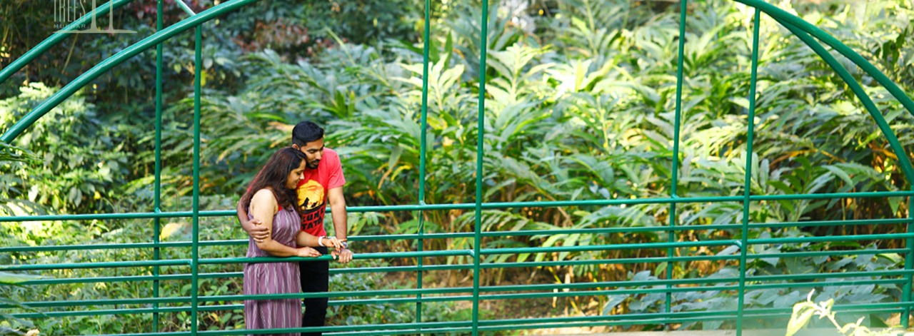 Munnar Alleppey Kovalam Tour Package  Tour Package