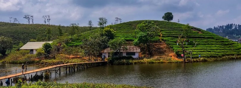 Kerala Nature Escape: Vagamon Hills & Alleppey Backwaters Tour Package