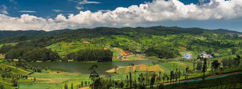 Wayanad And Ooty  Tour Package  Tour Package
