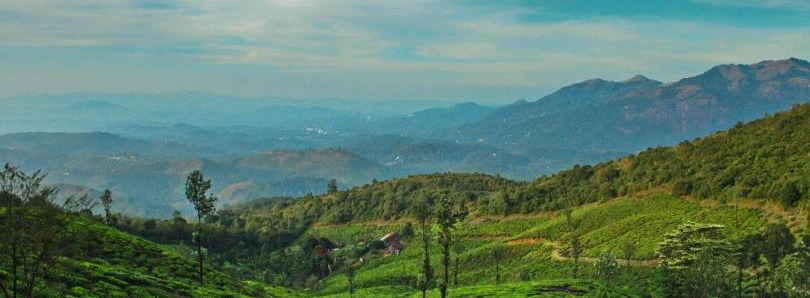 Munnar Thekkady & Alleppey Delight Tour Package